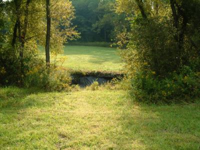 Standing on low side of stream