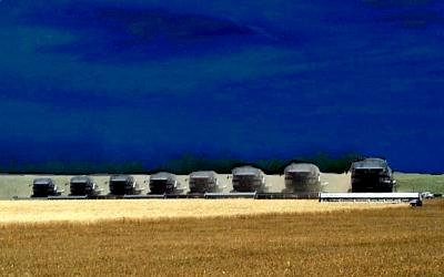 u9/gbphotos/medium/1864009.WheatHarvest.jpg