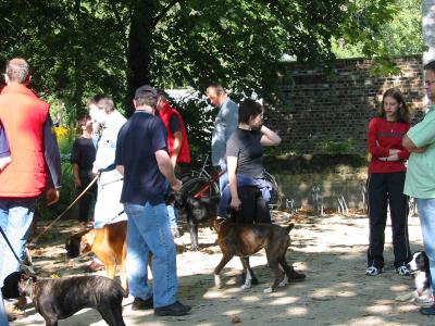 honden training speelhof