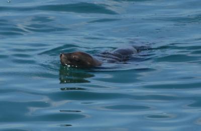 DSC_0971  A.jpg