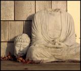 Buddhies