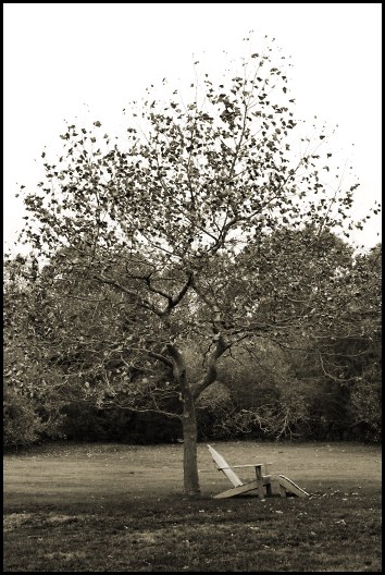chair