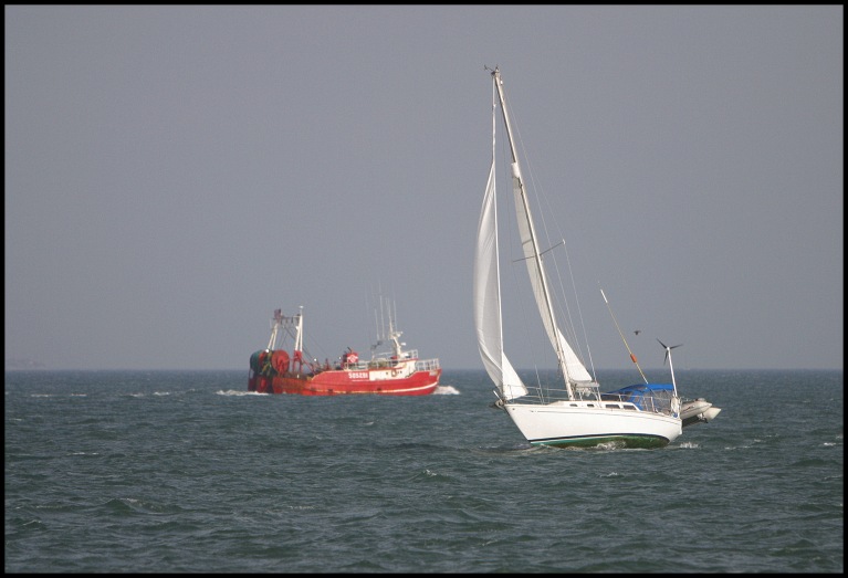 Sail