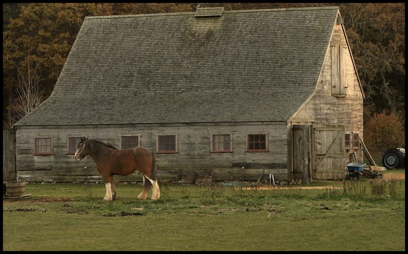 Horse-Barn