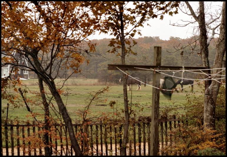 The Clothesline