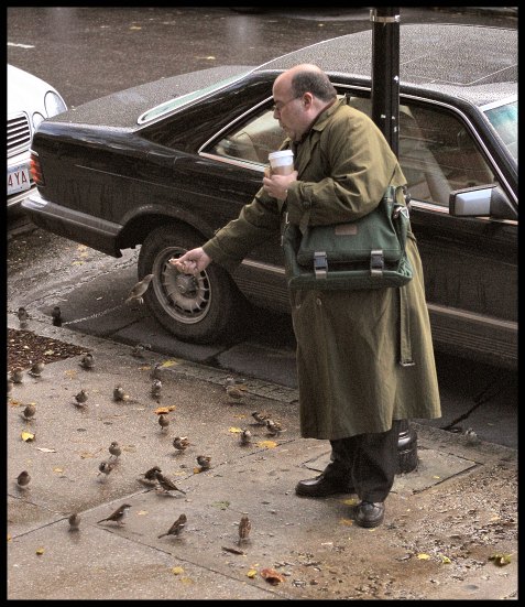 Birdfeeder