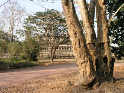 Angkor 057.jpg