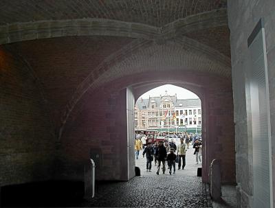 P5040135b.jpg