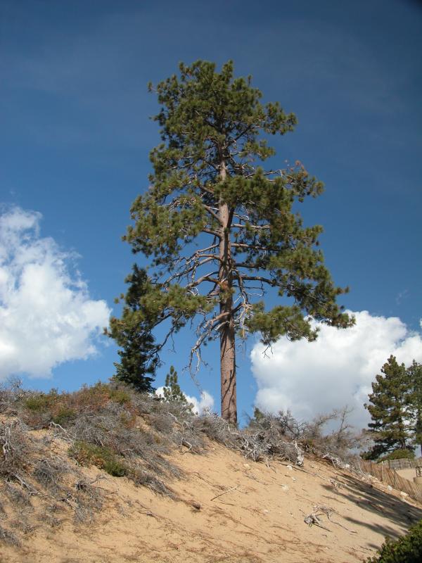 DSCN1378.jpg
