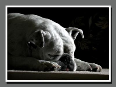Sweet sleep