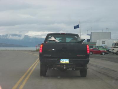 See the halibut tail in back of truck?