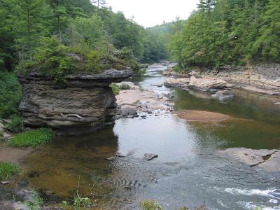 Swallow Falls up river