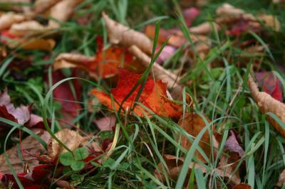 IMG_9743.JPG
