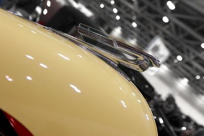 CRW_6559.jpg