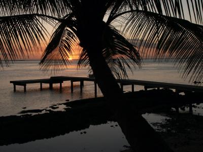 Tahiti #1