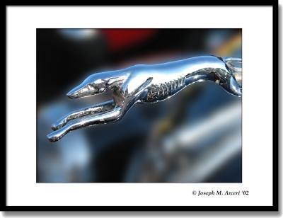 Hood Ornament #1.jpg