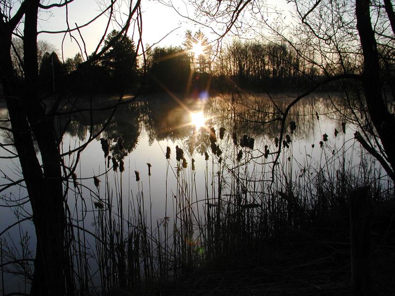 Misty Sunrise 2  (Olympus C-2100)