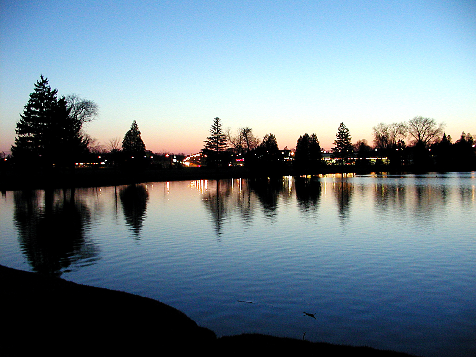 Evening  Walk (Olympus C-2100)