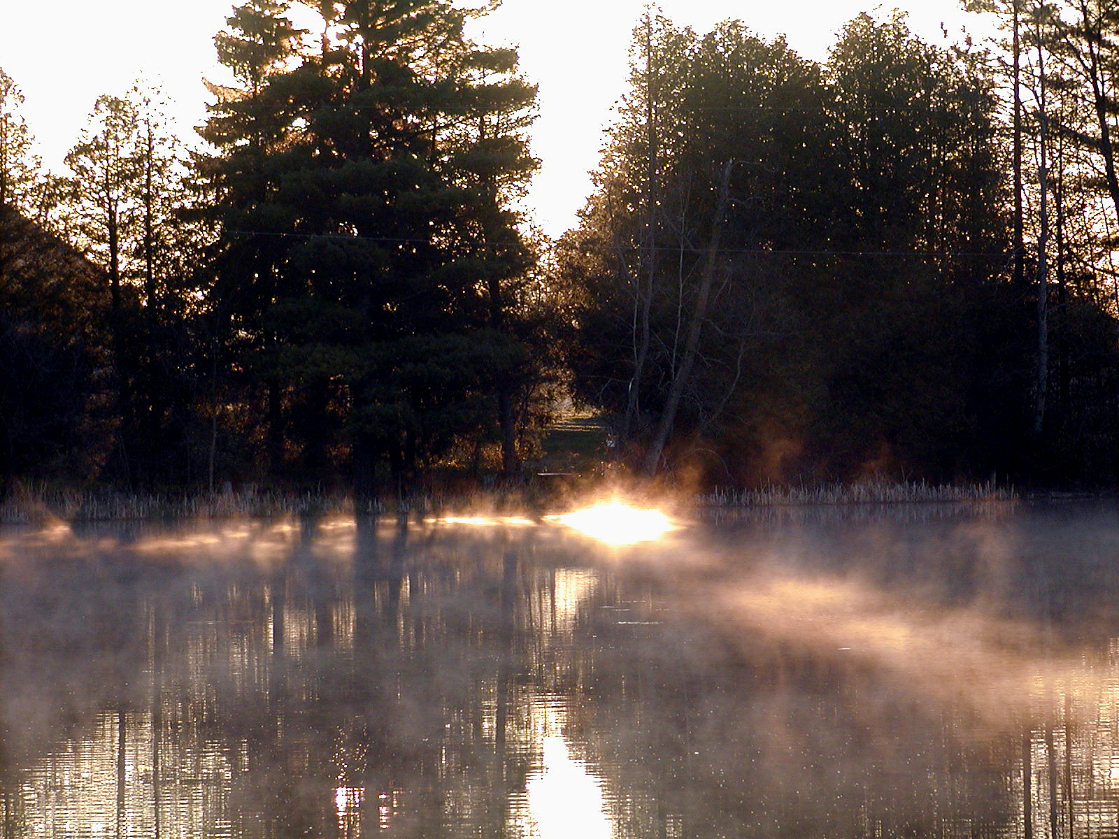 Misty Sunrise  (Olympus C-2100)