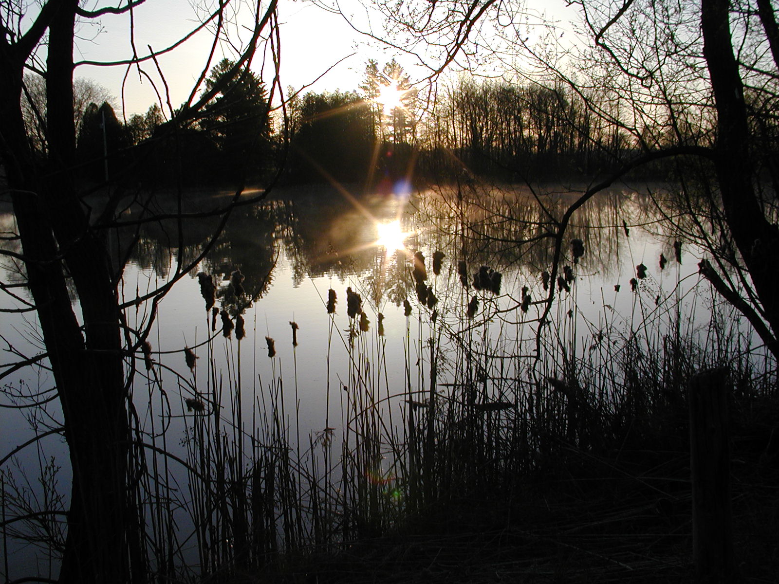 Misty Sunrise 2  (Olympus C-2100)