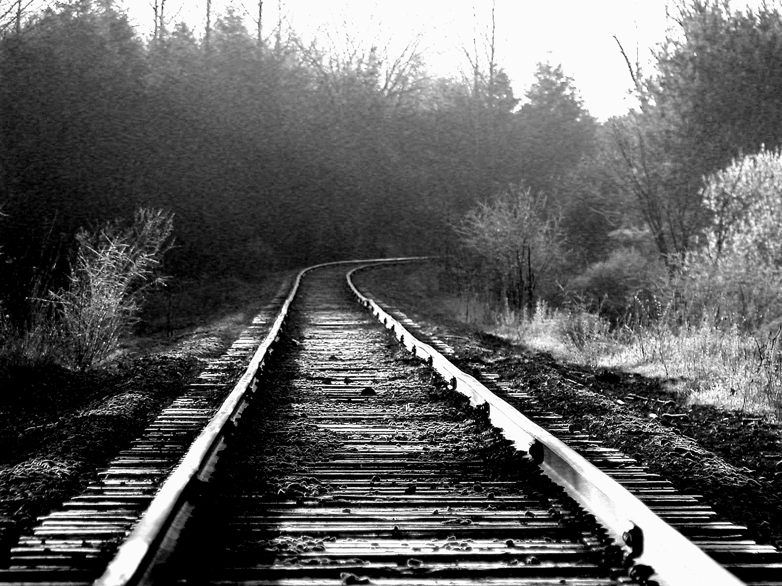 On the Tracks BW  (Olympus C-2100)