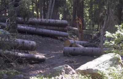 Thanks, Ouray Trail Group!