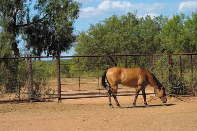 Texas's-&-Natures's-Best