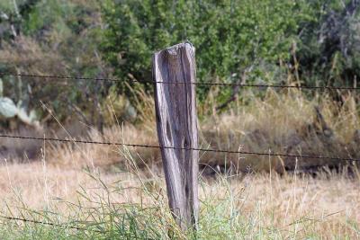 Trough-Post