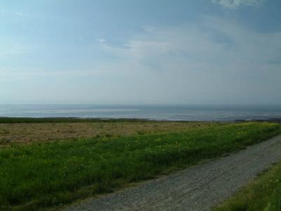 DSCF0137.JPG
