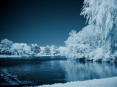 Black Lake IR