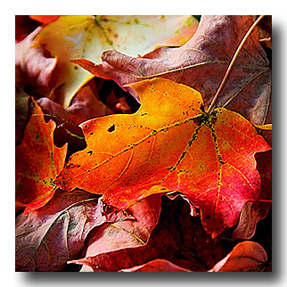 u9/kleaf/upload/34942610.23.jpg
