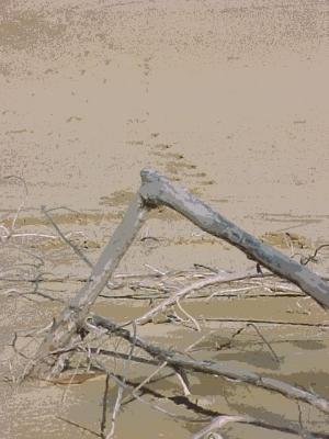 MVC-783F.JPG