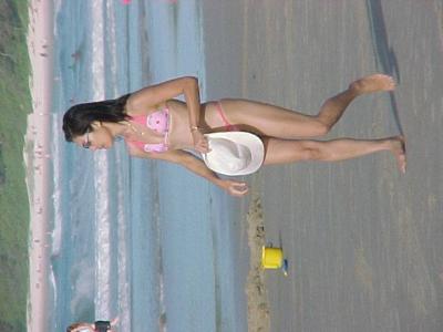asian ozzies, a very common species.