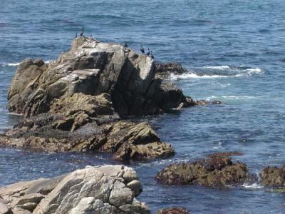 North Side of 17 Mile Drive