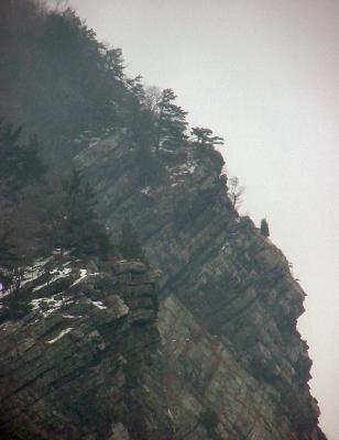 u9/lecook/medium/13906791.dwgcliffsfog103539.jpg