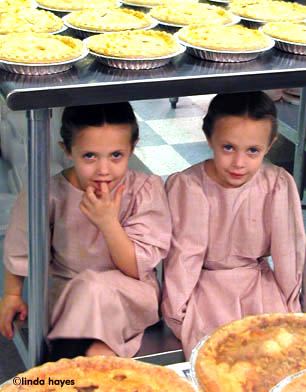Amish Pie Twins