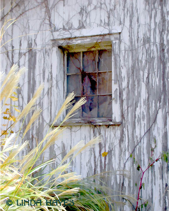 Cider Mill Window 200 bZ (watercolor filter)