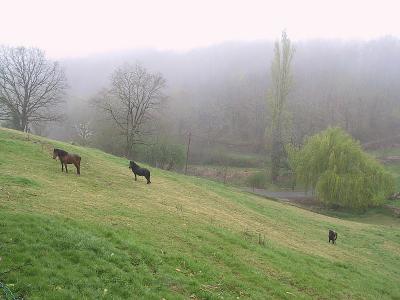 Le Peuch - La ferme du Peuch