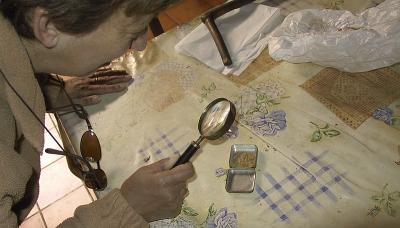 u9/ludo_verhoeven/medium/1671940.IMG_018.jpg