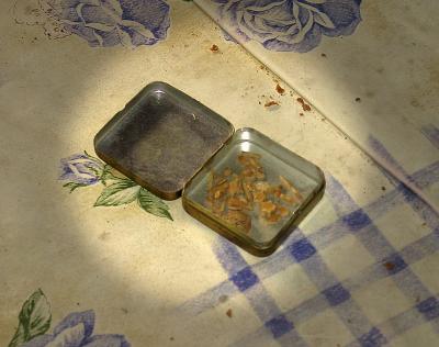 u9/ludo_verhoeven/medium/1671941.IMG_019.jpg