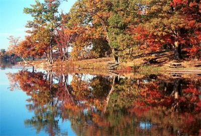 Fall Reflections