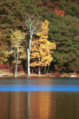Fall 2000