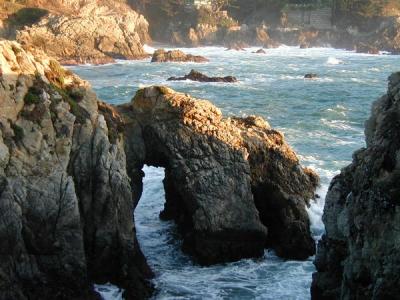 Point Lobos 2