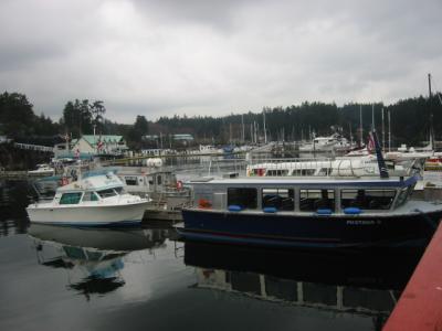 The Drop Out parked behind the student water taxi, The Graduate