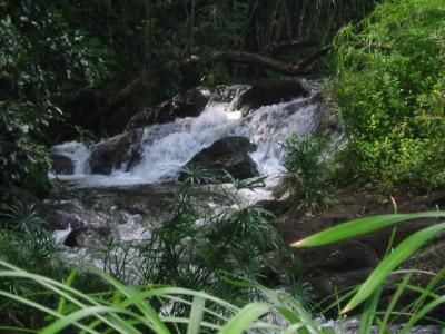 Upstream of Wailua Falls, east shore