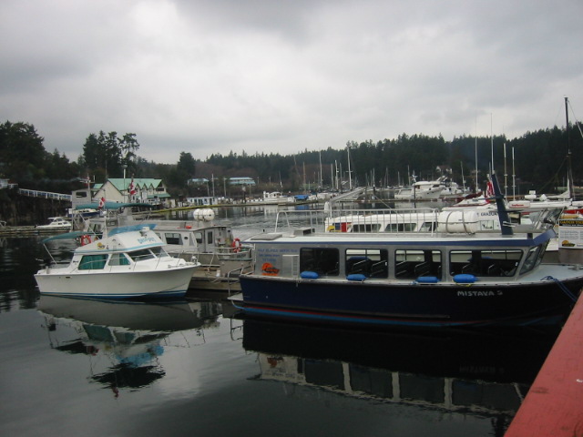 The Drop Out parked behind the student water taxi, The Graduate