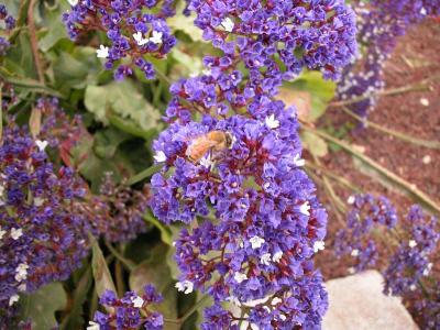 Dscn0192.jpg