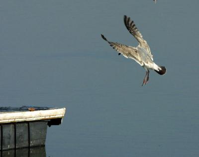 landing.jpg