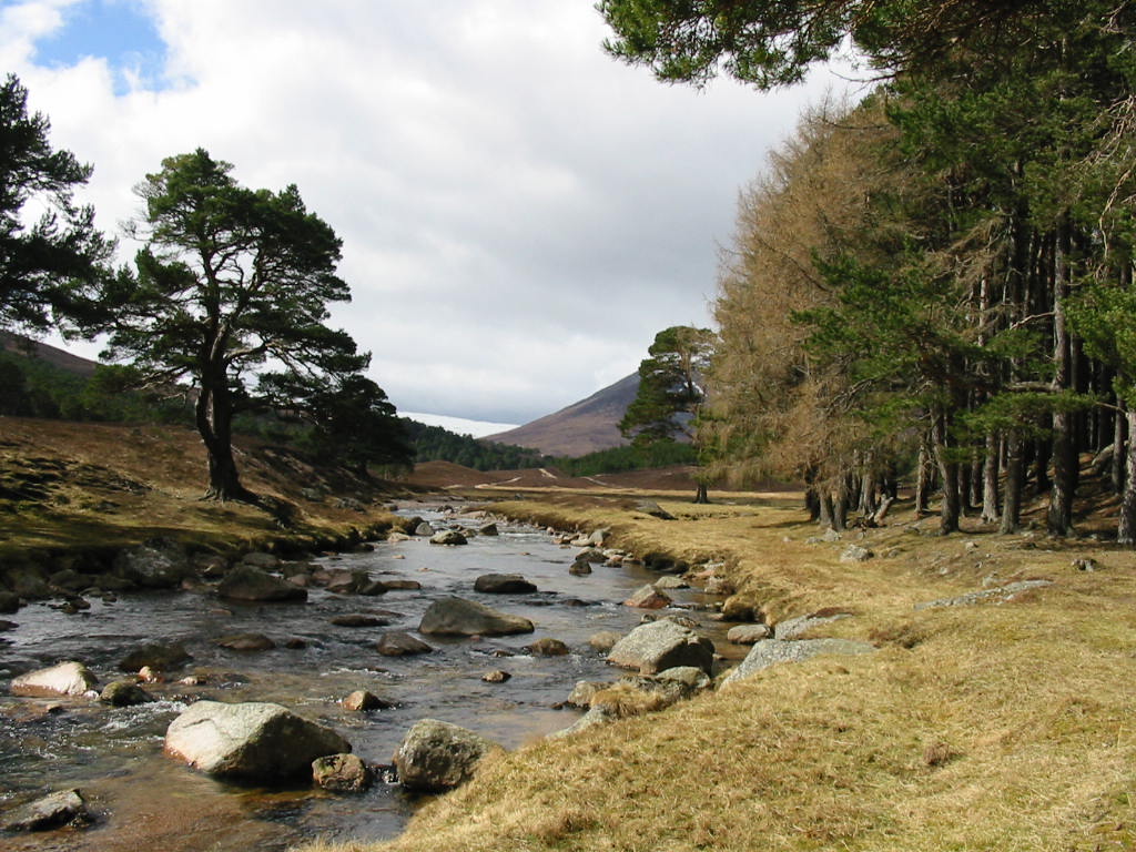 balmoral vista