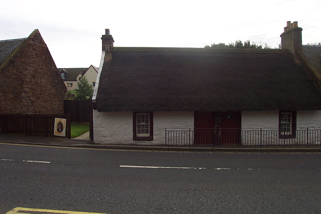 DCP_3398.JPG